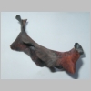 Copper leaf 2